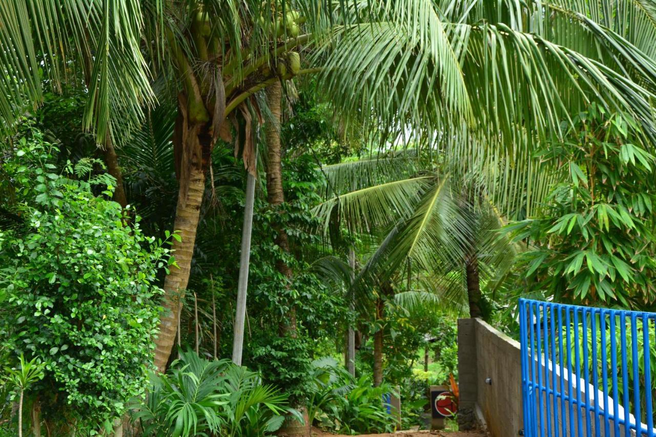 View Guesthouse & Bistro At Goyambokka Tangalle Extérieur photo