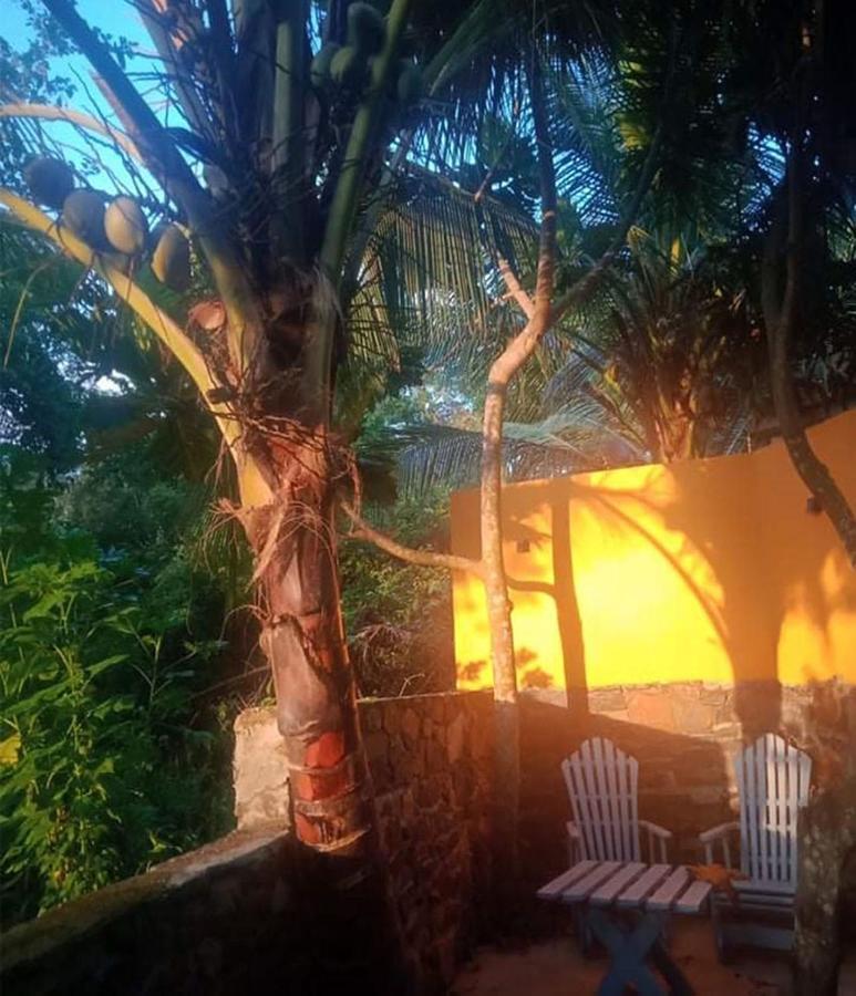 View Guesthouse & Bistro At Goyambokka Tangalle Extérieur photo