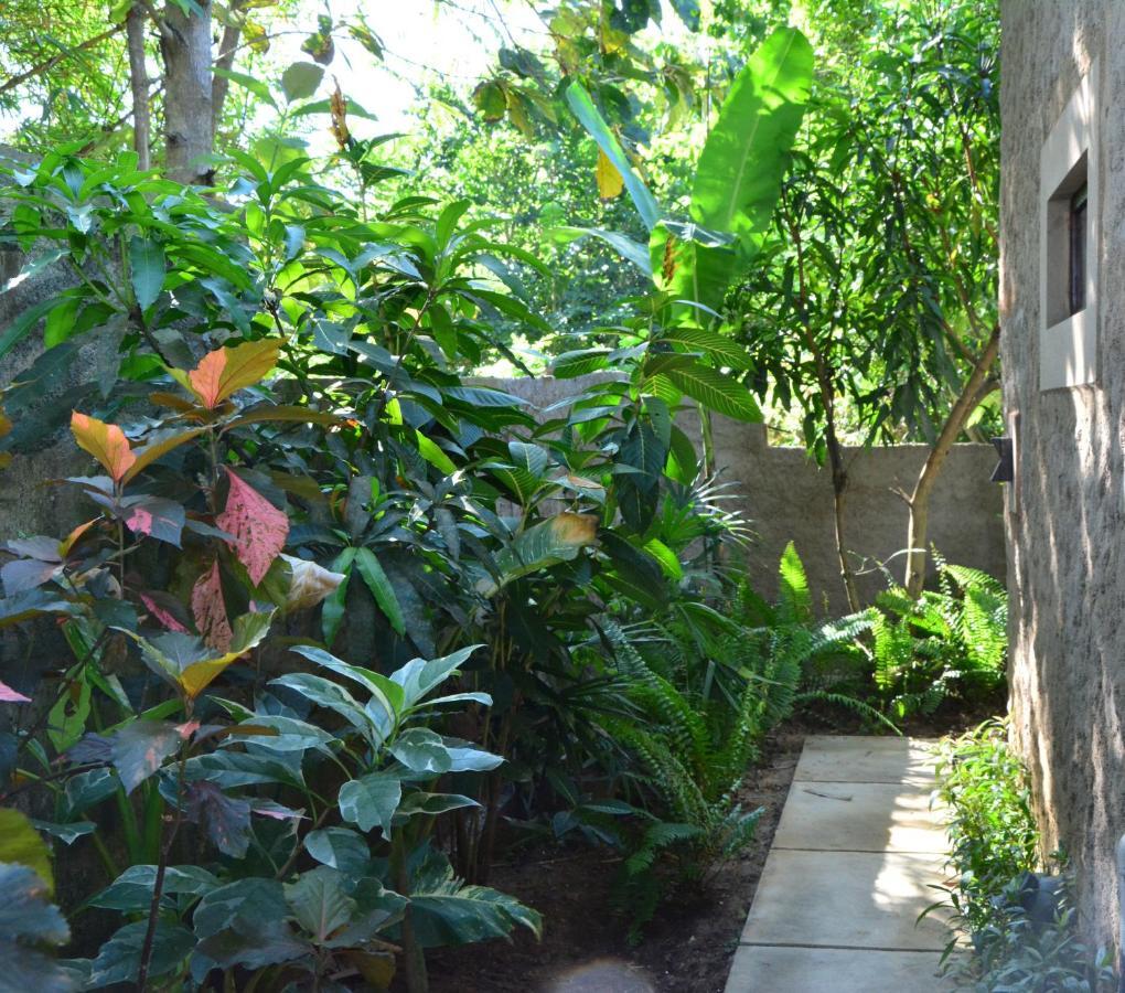 View Guesthouse & Bistro At Goyambokka Tangalle Extérieur photo